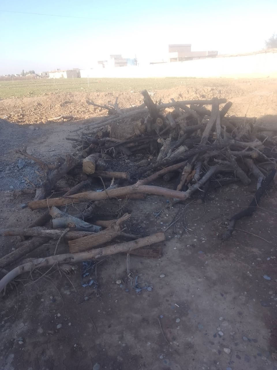 سلام عليكم  خشب لبيع  ***********
