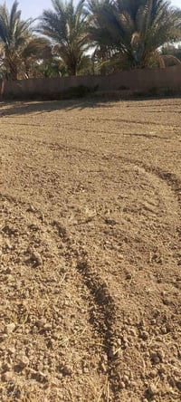 كربلاء المقدسه • ٥٠٠م • سند ٢٥