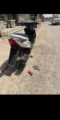 مراوس • شحن • الدورة