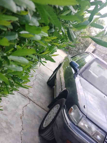 مارك عظم موديل 94كير محرك صدر كفاله***********
