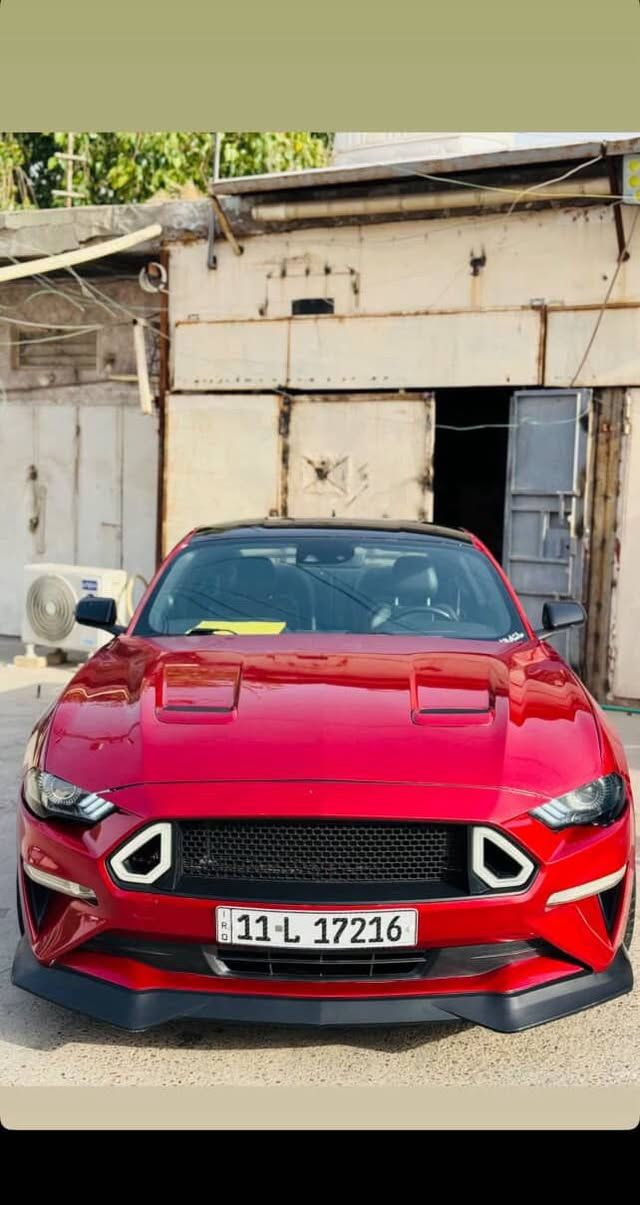 موستنك جيتي موديل 2023
***********
فول عدا الدجتال
خمس قطع صبغ ابيع حزام
عليها اضافات شباكrtr
دوساتrtr
لحيهrtr
اكتف اكزوز بلادي 
بك لايت سموك
كير مكينه اكسل تخبل السياره ومناقصها 
اي شي
ماشية 24
