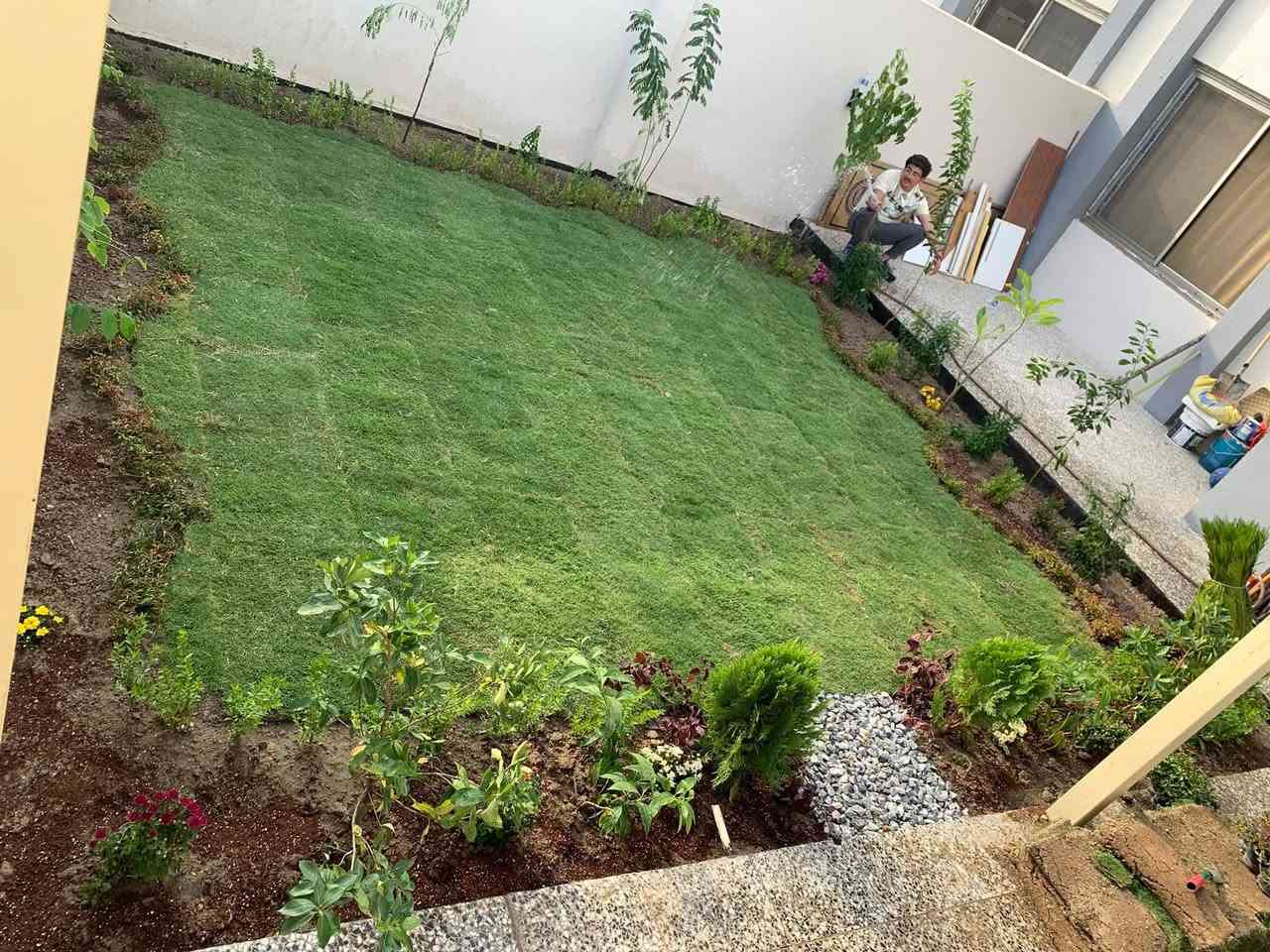 سلام عليكم شغلي ديكور حدائق زراعة اشجار حمضيات اشجار نخيل قص ثيل قص الشجار تنضيف اشجار نخيل 🌴
وبسعار مناسبه 
الاستفسار مراسلت الصفحه


**إذا كنت صاحب هذا الإعلان وتريد حذفه لأي سبب، رجاءا أرسل رسالة إلى الدعم الفني**