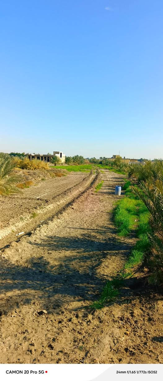 قطع للبيع طابو زراعي سند 25 قرب حي الصحه  المساحه مفتوحه اكثر من 50 قطعه ***********
