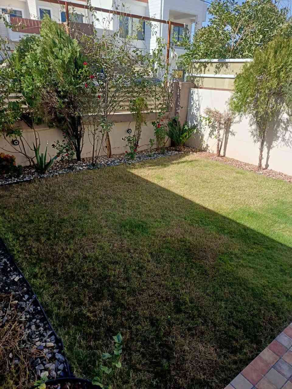 ***********
تردون حديقتكم تكون نضيفه ومرتبه واحلى زرعات واحلي ديكورات  وتصاميم حسب ذوقكم او ذوقنه
