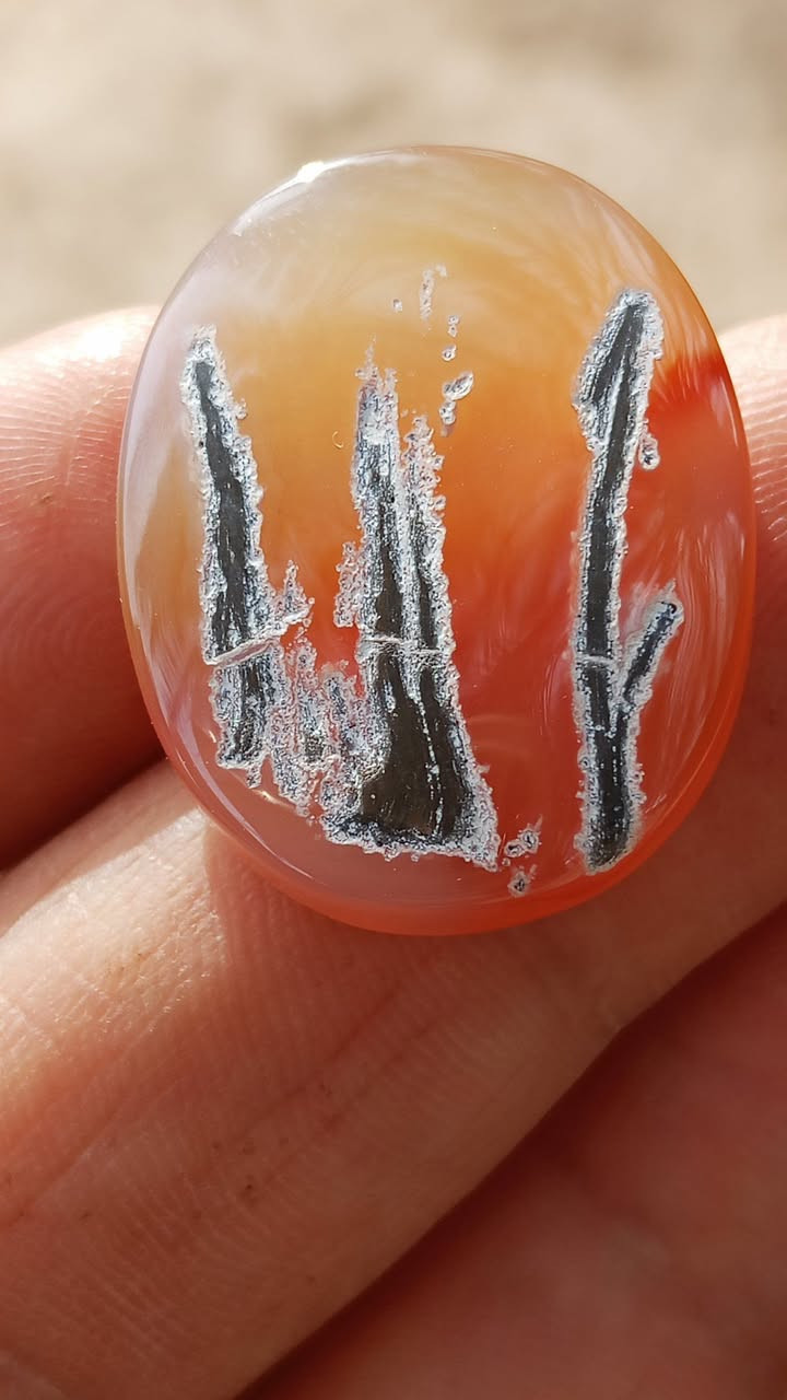 ماشاء الله من نوادر اليماني الانسي الحر الغير مجمر فقط جرخ وتلميع المصور لفض الجلاله التواصل خاص


**إذا كنت صاحب هذا الإعلان وتريد حذفه لأي سبب، رجاءا أرسل رسالة إلى الدعم الفني**