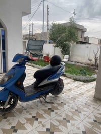 السلام وعليكم سكنس. فحل  بيع او مراوس رقمي07874245818 واتساب مابي