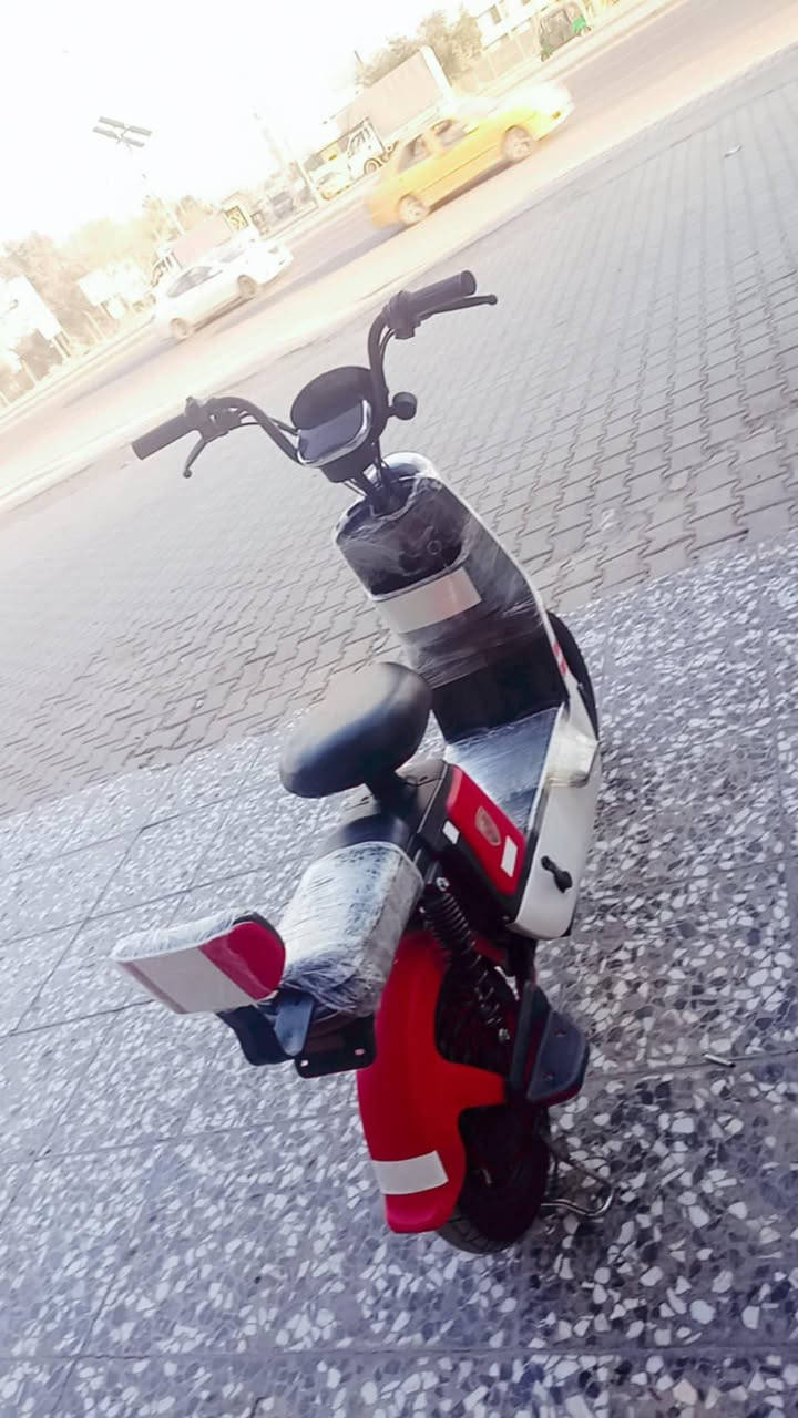 دراجه شحن حجم 16 موديل 2025
تحتوي على شاشه ملونه تعرض السرعه والشحن 
دبلات أمامي وخلفي
عدد البطاريات 4 
16 امبير 
استاند عدد 2
مقعدين أمامي خلفي
لايت عالي ناصي
مقعد عالي وسكان عالي
شاحنه جديده 
متواجد خاص 
الاستفسار ***********
السعر خاص
