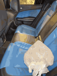 كشنات جارجر مروسه كشنات اسود جلد او قماش بس يكون لون اسود موديل و٢١صار شهرين من غلفته شغل درجه اوله اليوم متوجد ابغداد باجر ابكركوك***********
