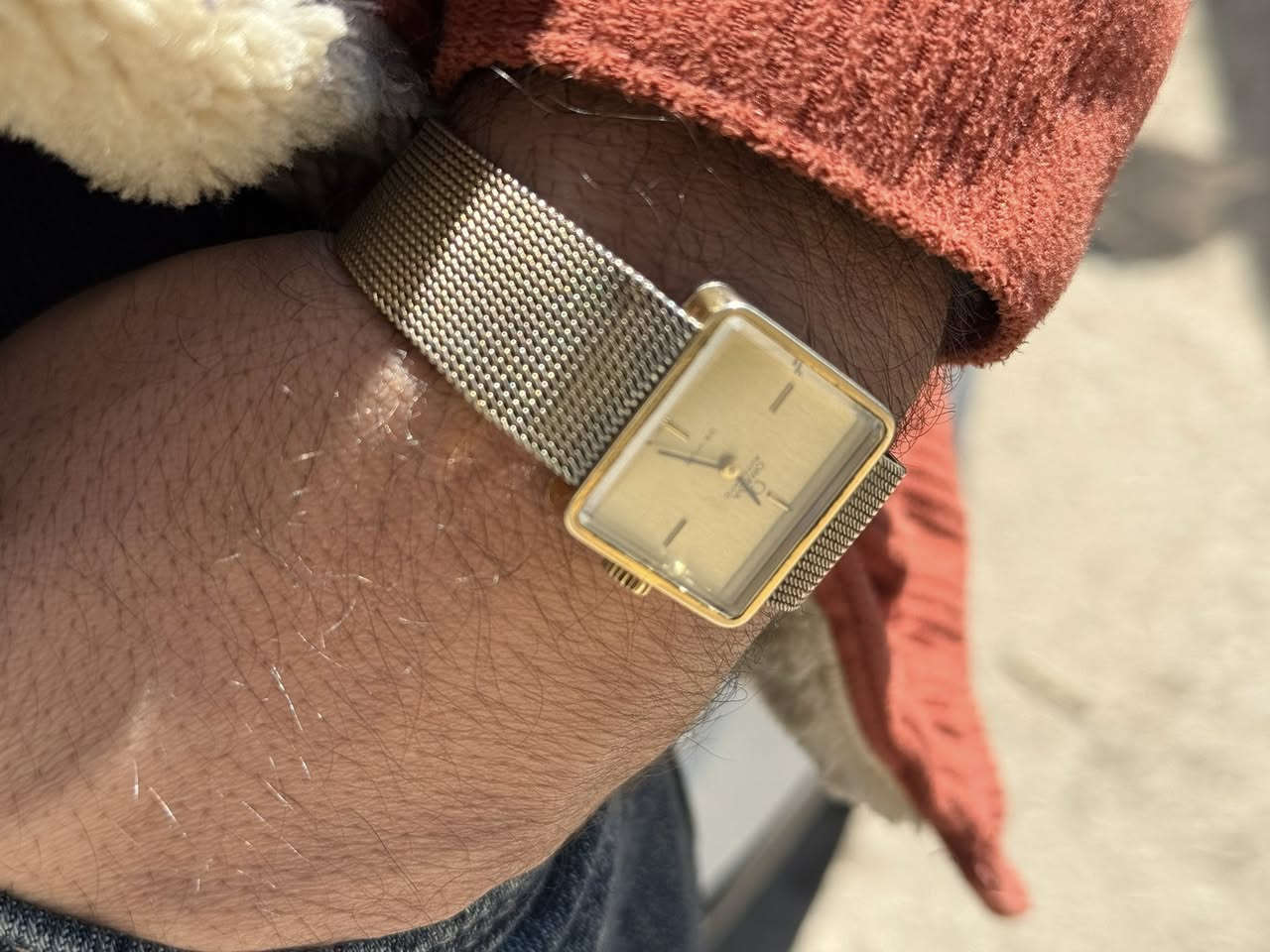 اوتو قطر 25 مربع🫡


**إذا كنت صاحب هذا الإعلان وتريد حذفه لأي سبب، رجاءا أرسل رسالة إلى الدعم الفني**