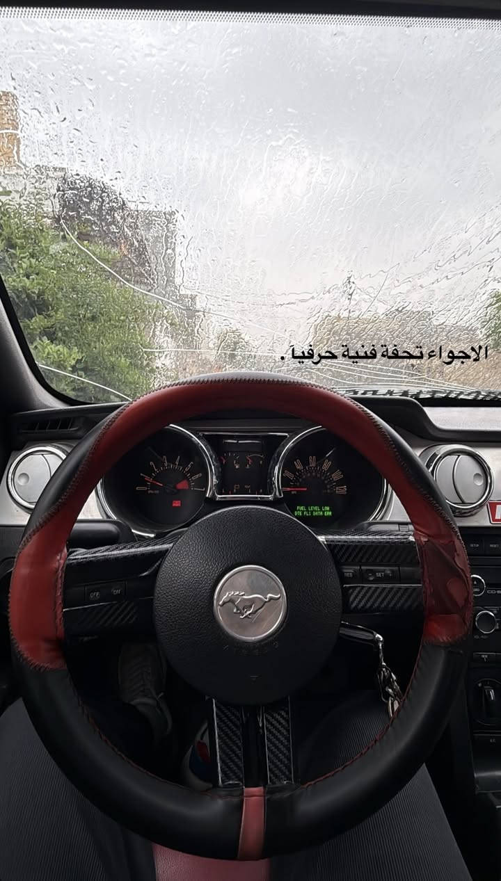 موستنك 2009  v6 4000
راح اوضح كلشي جوة يخص السيارة 👇👇👇

✅سيارة كاملة مكملة سويج وتشغل وتطلع ترايك للبصرة
✅تايرات جدد صارلي ٤ اشهر من شديتهم
✅رقم بغداد الانكليزي السيارة بأسمي تحويل ثاني يوم
✅تشتغل بانزين عادي طبيعي بدون اي مشاكل
✅عليهة برمجة مراوح واستجابة دعسة
✅مبرمجة بوب كورن وطلقات صوت يطرب من الأخير
✅عليها كزوز ht power يشك شك بوابة تفتحة وتسدة بكيفك 
✅الصدر 75%
✅شلعتهة قوية تشلع التبليط
✅نصبتهة جميلة جدآ وبيهة شوفة لا تقارن بمهجوم
✅داخلهة جميل ومناقص ايشي

النقوصات بنيد واكع الصبغ مالة ومغلفة كاربون ف ممبين عدى هذا السيارة كاملة

مكاني بغداد المحمودية اتواجد ببغداد بأيام الدوام الرسمية بالسيدية

استفسار خاص او اتصال
***********
اعتذر ما اكطع سعر بالتلفون تجي تشوفهة عجبتك او ما عجبتك نوجبك تتغدة او تتعشة يمنة وتتوكل
