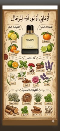 ارماني • بور هوم • اصدار ٢٠١١