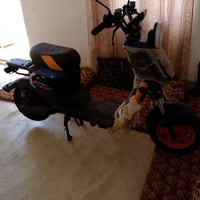 دراجة شحن • جديدة • بطارية جديدة