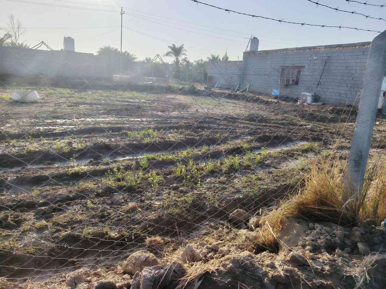 قطعة أرض زراعي  للبيع
المساحة 340 متر الطول 20 + عرض 17
 كافة الخدمات واصله يمها  
مكان القطعه الغراف خلف البراز
  
رقمي للتواصل ***********
