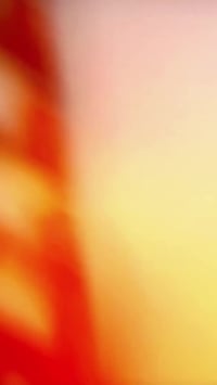 عيادة أشعة • سونار ملون • هشاشة العظام