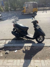 اگزوز • طالبية