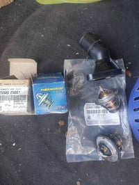 كوع سيراتو • كوري اصلي • ٢ ولف حماوة