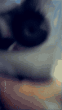 سلام علیکم بیجو بارص مودیل ٢٠١٨ مکفوله کفاله عامه منعده
الهلالات مصبوغه جمالیه دوشمه جدیده شاشه الرقم والستفسار *********** العنوان العبیدي
