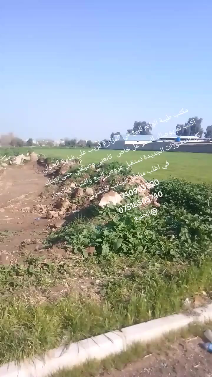 مكتب طيبة الوانم للبيع في المزارع قريب على شارع الحولي اكتب تم يوصلك السعر عل خاص   تابعني وضيفني حتى تصلك كل المنشورات الجديدة نستقبل عروض البيع والشراء والايجار في اغلب مناطق الجانب الايسر 
***********
***********
@الجميع
