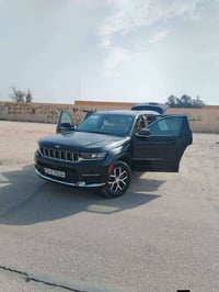 شاروكي • ٢٠٢٤ • وارد أمريكي