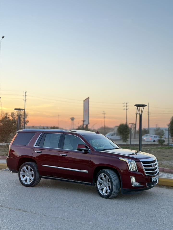 السلام عليكم
اللهم صلى على محمد وال محمد 

كاديلاك اسكاليد ٢٠١٦ luxury

السياره فول مواصفات عدا الجكات

السياره دخول جديد كتاب ضباط 

بدون ايرباك

داخل تو كلر كريمي وجوزي

كشنات منفصل 

كشنات تدفئه تبريد 

فتحه 

شاشه وسطيه 

السياره حادثهه كلش بسيط 

كسر بالايت الايسر ودعاميه نفسهه بيهه كسر مصلحه ومصبوغه

السياره مابيهه كل نقص وتخم تاير جديد 

السياره ماشيه ١٦٦ الف 

مكان السياره الديوانيه 

السعر 330

عليها نانو السيارة كامل 

رقمي ***********
