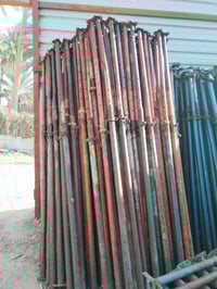 كتاكيت • حاضن تركي • عجمان الإماراتي