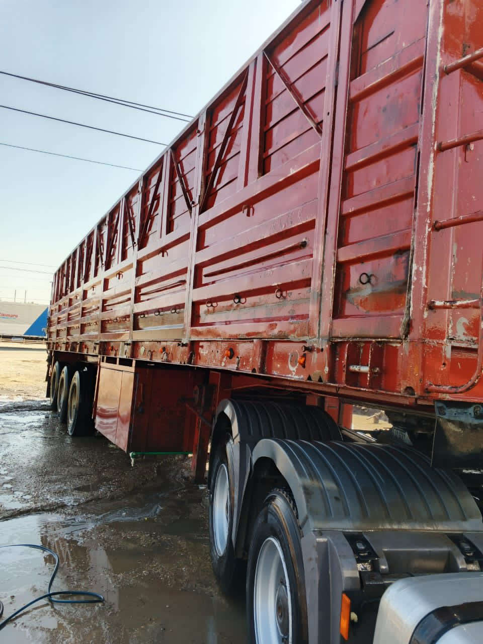 سلام عليكم عربانه للبيع
4 دناكير

شاصي 16عمل 

المكان ناصريه 

رقم صاحب العربانه                                     ***********

مكلف بلنشر
