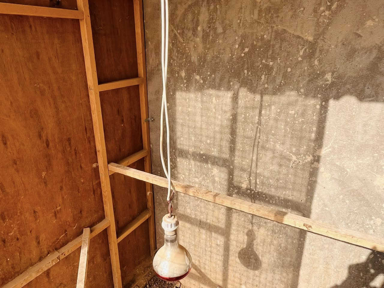 قفص ٤ متر في متر و٢٠ سم  مقسم قفصين شغل درجه أولى يرهم قفص مال طيور او دجاج كله براغي ويتفصخ كل قطعه بحد وجه و٢ فواصل وسقف سعره ٢٠٠ الف وبي مجال الي يريده يتصل ***********
