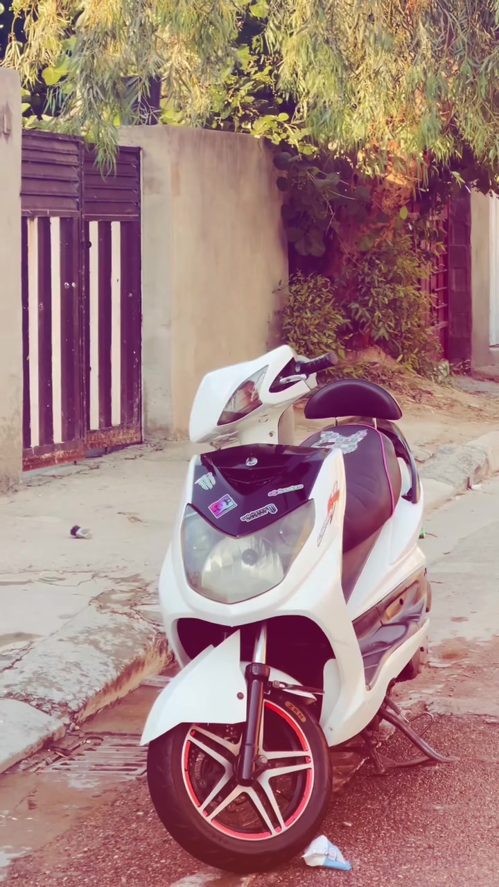 سكسن فحل نوزل البيع او مراوس درجه اي نقص ما بيههه بغداد زعفرانيه ***********

