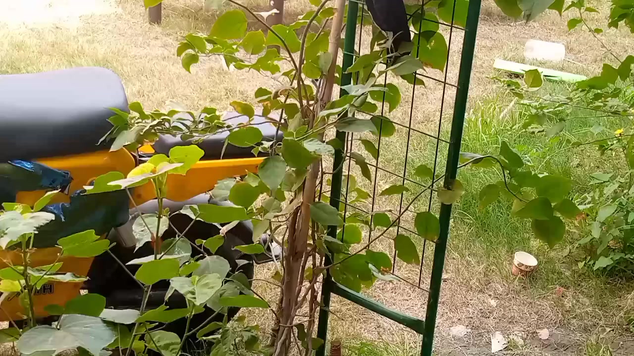 سلام عليكم دراجه شحن X900نضام بك السرعة 70 والحقيقي 50 و السعر 🔥🔥540وبيها مجال اربع سرع


**إذا كنت صاحب هذا الإعلان وتريد حذفه لأي سبب، رجاءا أرسل رسالة إلى الدعم الفني**