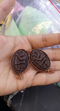 هبهاب مغربي • جلب حبيب • نادرات