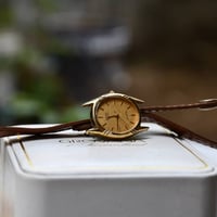 سيكو نسائي • سير كارفيل بولفا • نوادر