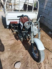 ستوته • شغاله • بصالحيه