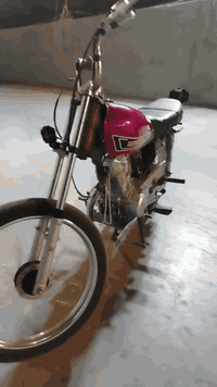 ألسلام عليكم دراجه نامه شلامجه 2024 دراجه مكفوله كفاله عامه كلشي مابيها قبل شهر صاعده المكينه عل شاصي وعلي عارضها 550 مكاني محموديه ناحيه الرشيد
بيه مجال حك الجيه لتصير لوتي بل تعاليق 💕☘️
***********
