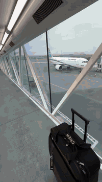 عروض غداً 21\12✈️
نجف   ⬅️ مشهد 95 الف
مشهد ⬅️ نجف 182 الف 
———————————
بغداد ⬅️ مشهد 98  الف 
مشهد⬅️ بغداد 148 الف 
———————————
بغداد  ⬅️ طهران 86 الف 
طهران ⬅️ بغداد  106 الف 
———————————
نجف  ⬅️ طهران 92 الف 
طهران⬅️ نجف 89  الف 
———————————
نجف  ⬅️ اصفهان 86 الف
اصفهان⬅️ نجف 103 الف 
العنوان : بابل ، ا الهاشميه بجانب حسنينه  الطف شركة الطف للسفر والسياحه والحج والعمره  
للتواصل والاستفسار : 
☎️***********
☎️***********
*علماً الاسعار متغيرة وليست ثابتة
