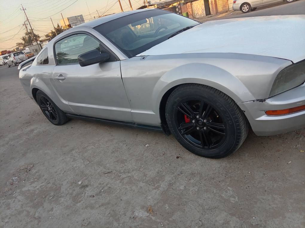 سلام عليكم موستنك 2007 بغداد دولي سياره جاهزه محرك كير تخم تاير صدر بلجيس جاهزه سعر 55 رقم *********** بغداد, العراق
