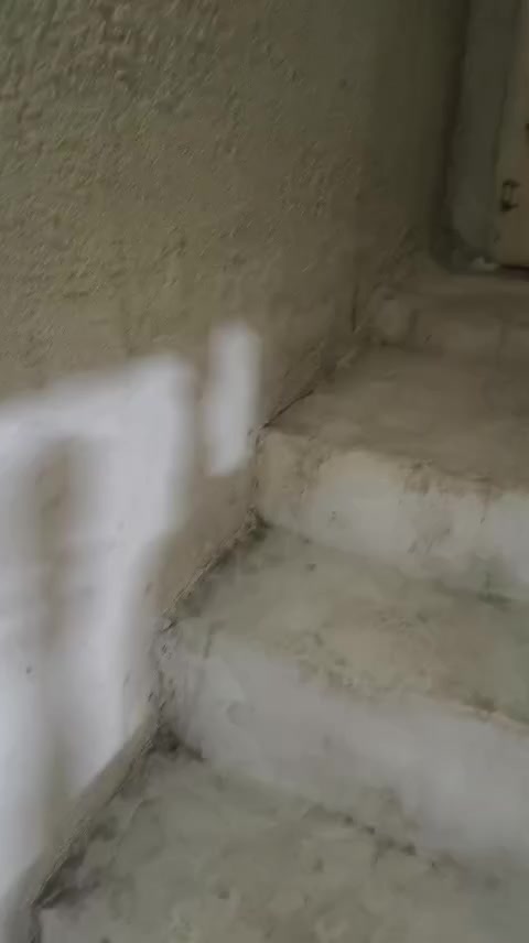 دار غربي في منطقة حي السويس (الدركزلية)  بظهر الخوصر مساحته ٢٠٤ متر مربع مكون من طابقين(شقة معزولة +دار ارضي) يحتوي الطابق الارضي على اربعة غرف وهولين وسرداب وبيتونة كبيرة ومطبخ خارجي وكراج وسطح عدد (٢) وتحتوي الشقة على ٣ غرف وهول وبيتونة وسطح عدد (٢)
وموجر بمبلغ ٧٠٠ الف دينار كوارد شهري للارضي والشقة السعر ٢٠٠ مليون وبيه مجال بالتعامل للاستفسار التواصل على الخاص او الاتصال على الهاتف 
ملاحظة:-انا صاحب الدار. 
‏‪***********‬‏
***********
