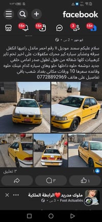 سمند ذيقار • ٩ ورقات جاهزة • بدون راعي