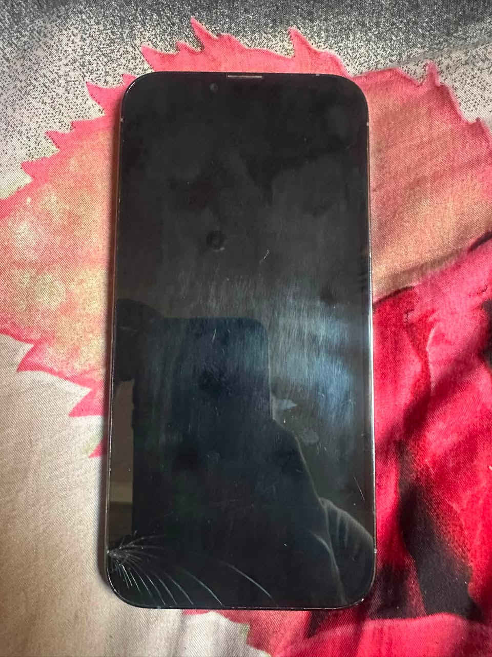 ايفون ١٣ برو ماكس دبل خط ٢٥٦ بطاريه ١٠٠ مبدل شاشه وبصمه واكفه ونقطه سوده بشاشه جهاز كلش حلو واستعماله مرتب سعره ٣٧٥ مع مجال ***********
