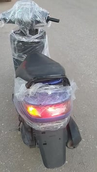 فراشه فحل • جديدة • حلة ناحية النيل