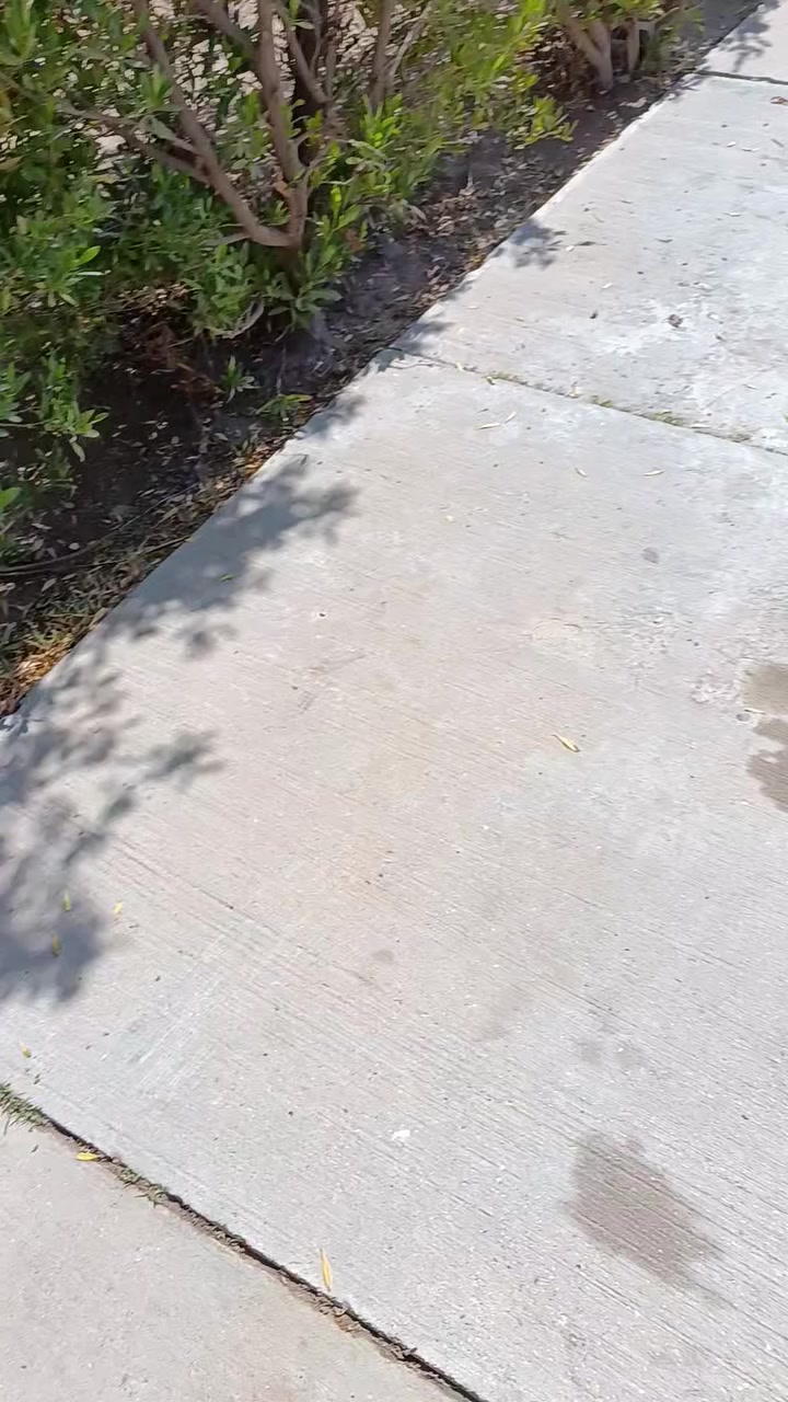 حطب خشن ناشف للبيع
***********
