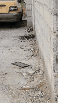 قطعه ارض للبيع الراشديه شارع بيت حجي خالد التبليط الجديد مساحه ٩٠متر واجهه سته نزال (١٥) ,تفاصيل بلفيديو
***********
