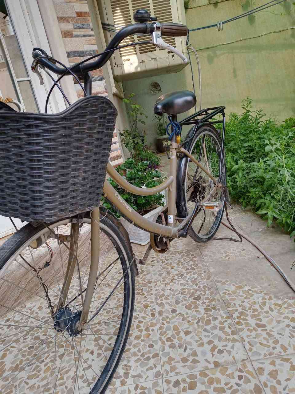 مراوس C700 وانطي فرق $


**إذا كنت صاحب هذا الإعلان وتريد حذفه لأي سبب، رجاءا أرسل رسالة إلى الدعم الفني**