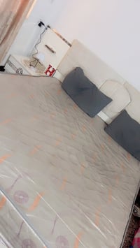 دوشك • نفرين • جديد