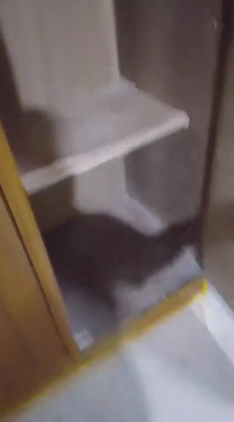 سلام عليكم كنتور ابو ربعه صاج دخل وخارج ضهر جرجوبه براغي أرتفاع مترتين و٥سم وعرض مترتين ٤٥سم  السعر ٢٢٥ قفل للحجز والاستفسار خاص يوجد خدمه توصيل بكروة بغداد وطرافهه فقط


**إذا كنت صاحب هذا الإعلان وتريد حذفه لأي سبب، رجاءا أرسل رسالة إلى الدعم الفني**