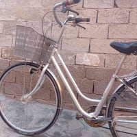 باسكل • حجم 27 • للبيع