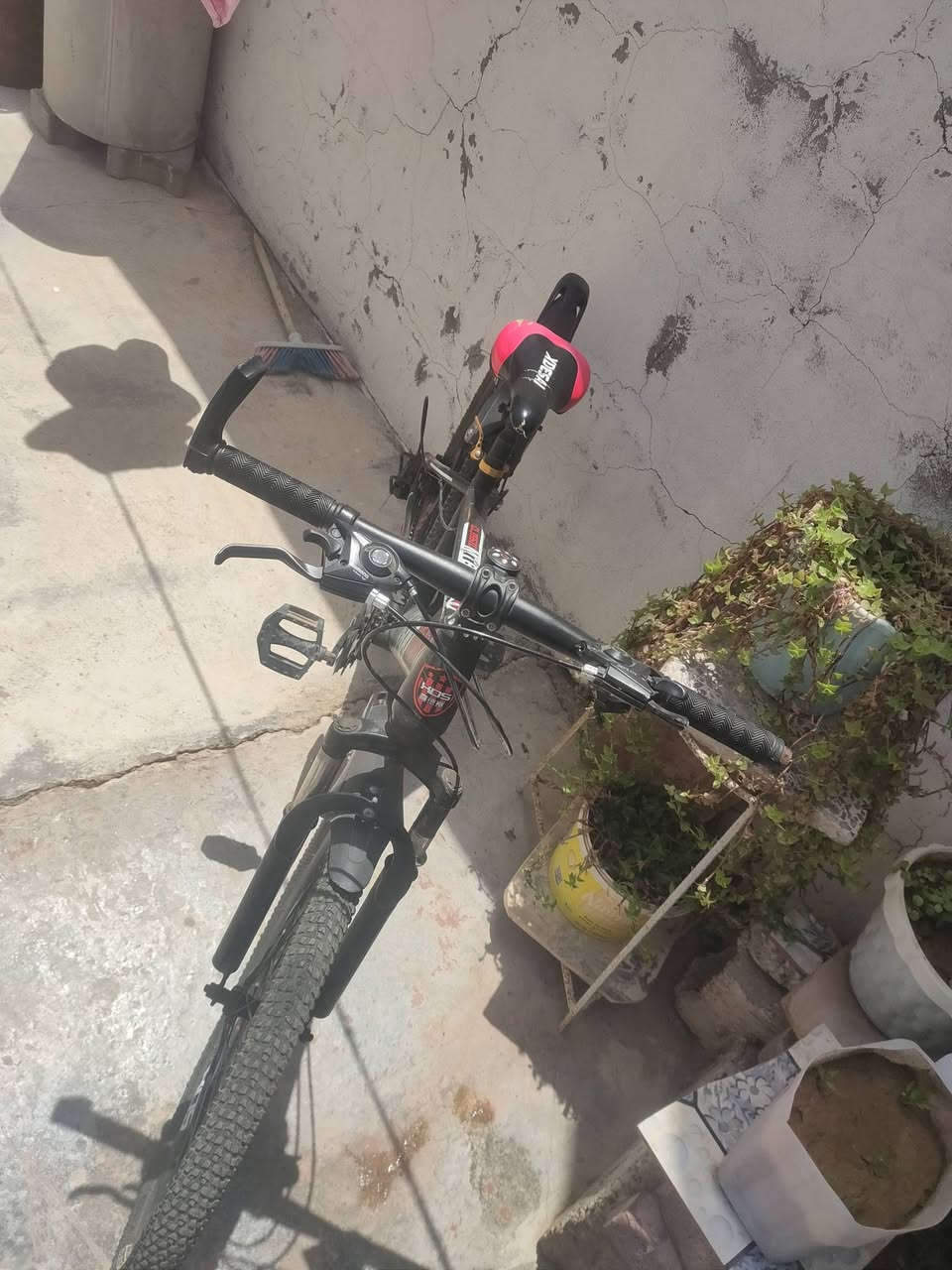 سلام عليكم للبيع  بيسكل  سعر بلاش رياضي اخو جديد ما مستخدم غير شهر مابي اي عيب كامل مكمل 60 و بي مجال بسيط للتواصل اتصال علا رقم ***********
