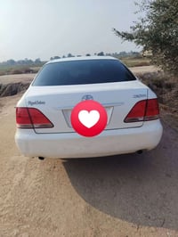 شاهينه • ٢٠٠٧ • شطره الگطيه