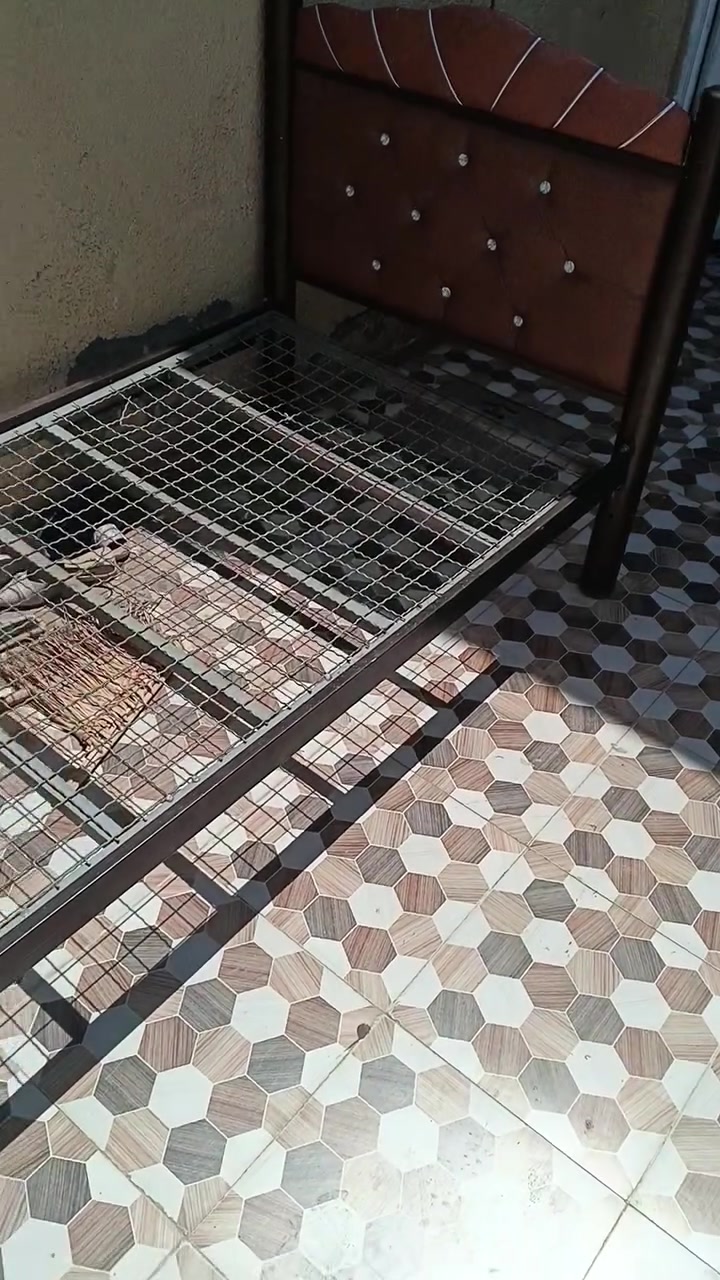سلام عليكم جربايه للبيع نضيفه


**إذا كنت صاحب هذا الإعلان وتريد حذفه لأي سبب، رجاءا أرسل رسالة إلى الدعم الفني**
