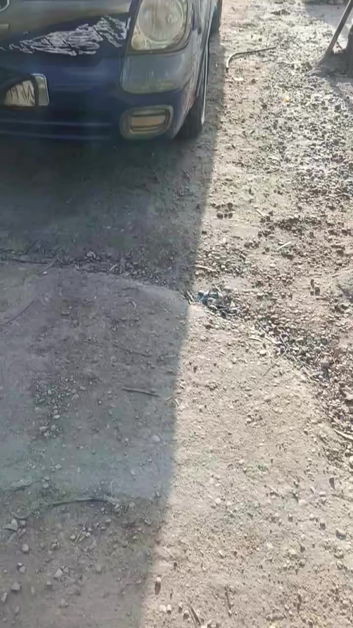 كيه حمل 2006 سنويه طايفه صار سنه مالكه بغداد رقم صدامي جانت محركه قبل 300 سوبر هسه حو
2700 سعره 58 ورقه سياره كفاله عامه حتا ما مصبوغه علا وضع شركه الي يشتري يتصل علا هاذ رقم ***********
