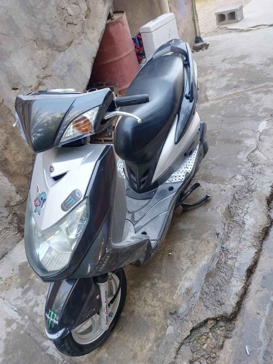 سكنس فحل ياباني للبيع ٨٠٠ رقم ***********
